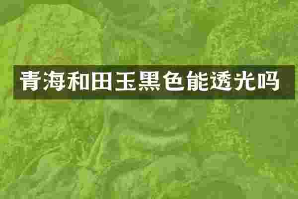 青海和田玉黑色能透光吗