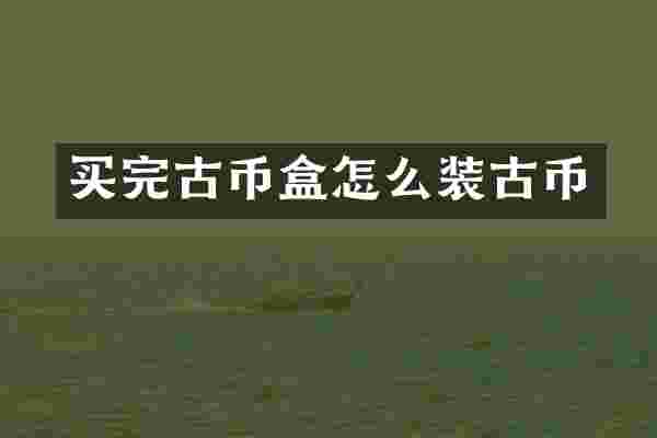 买完古币盒怎么装古币