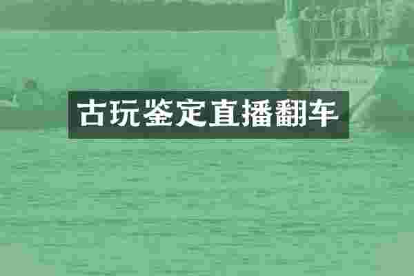 古玩鉴定直播翻车