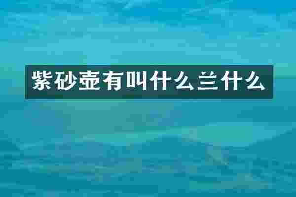 紫砂壶有叫什么兰什么