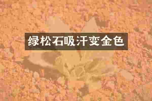 绿松石吸汗变金色
