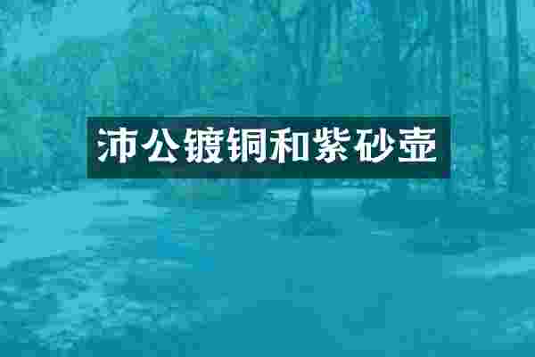 沛公镀铜和紫砂壶
