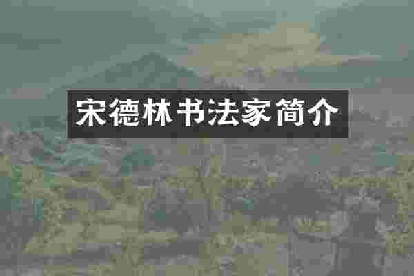 宋德林书法家简介