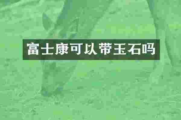 富士康可以带玉石吗