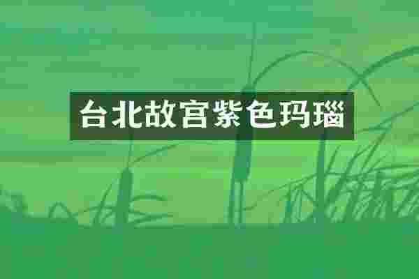 台北故宫紫色玛瑙