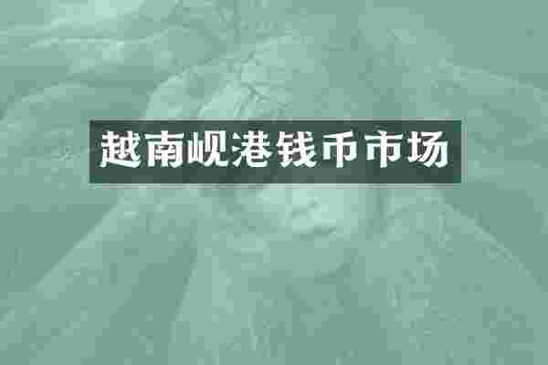 越南岘港钱币市场