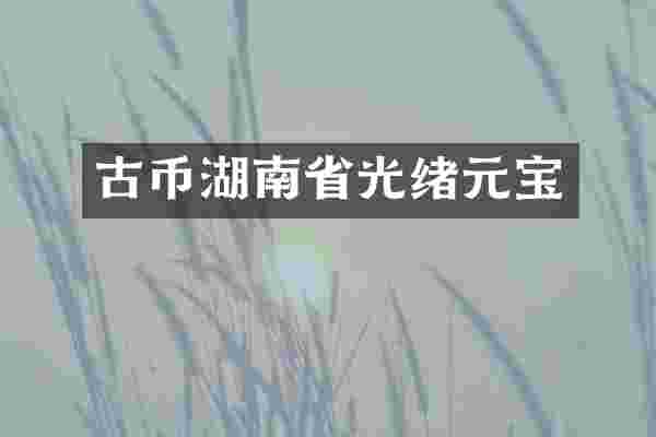 古币湖南省光绪元宝