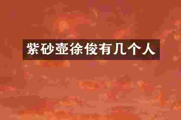 紫砂壶徐俊有几个人