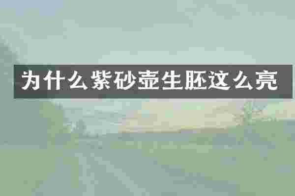 为什么紫砂壶生胚这么亮