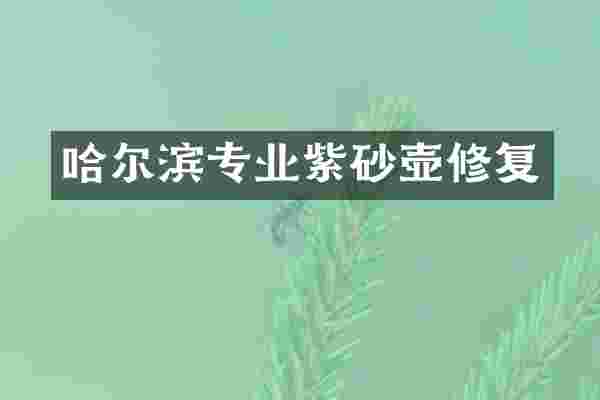 哈尔滨专业紫砂壶修复