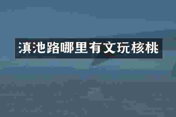 滇池路哪里有文玩核桃