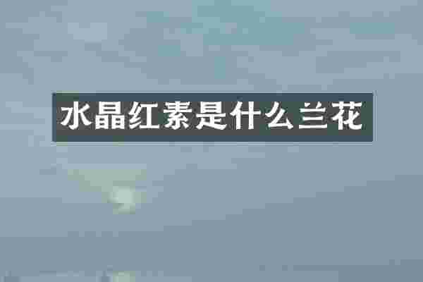 水晶红素是什么兰花