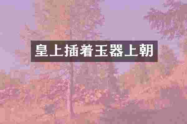 皇上插着玉器上朝
