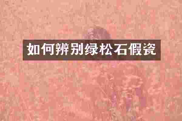 如何辨别绿松石假瓷