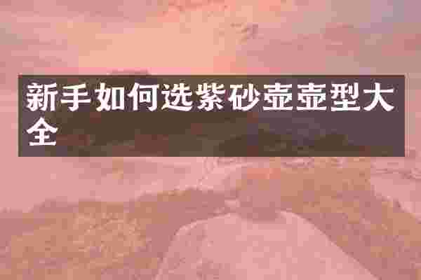 新手如何选紫砂壶壶型大全