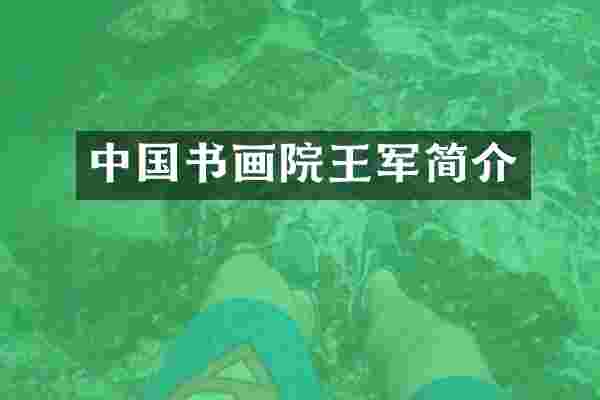 中国书画院王军简介