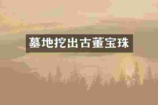 墓地挖出古董宝珠