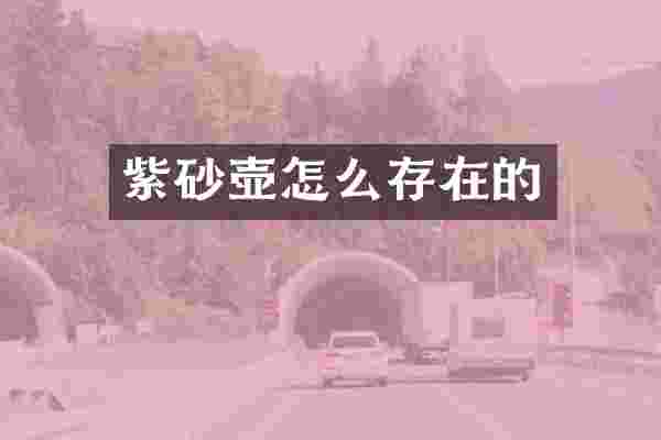 紫砂壶怎么存在的