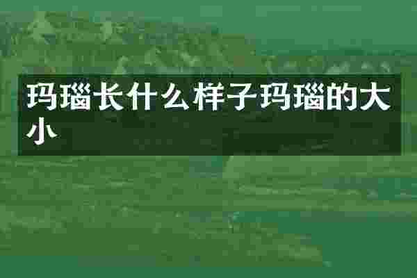 玛瑙长什么样子玛瑙的大小