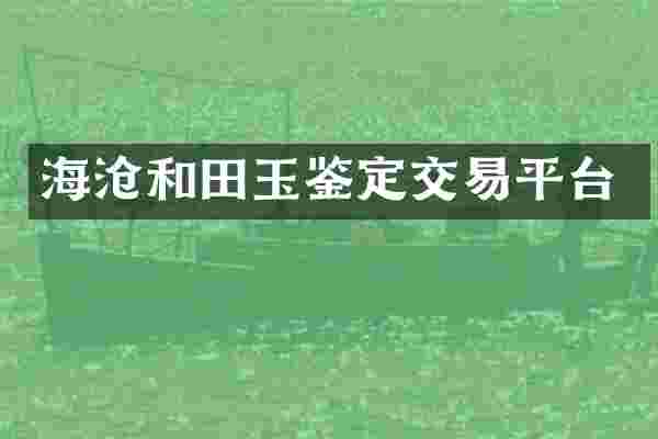 海沧和田玉鉴定交易平台