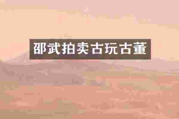邵武拍卖古玩古董