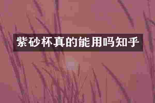 紫砂杯真的能用吗知乎