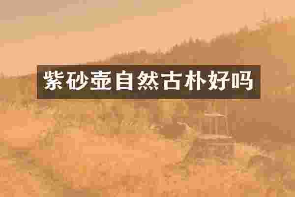 紫砂壶自然古朴好吗