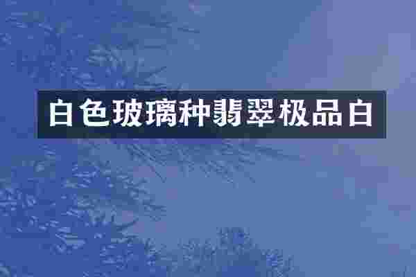 白色玻璃种翡翠极品白