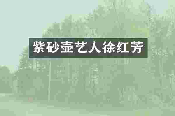 紫砂壶艺人徐红芳