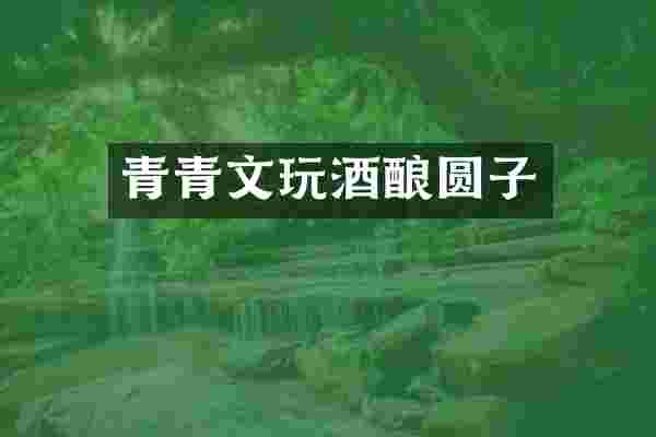 青青文玩酒酿圆子