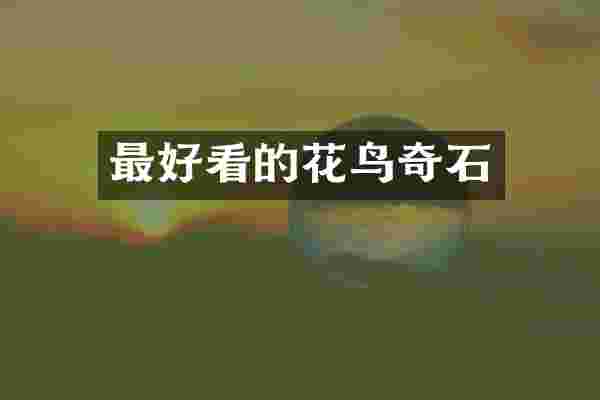 最好看的花鸟奇石