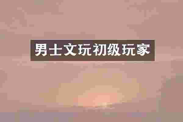 男士文玩初级玩家