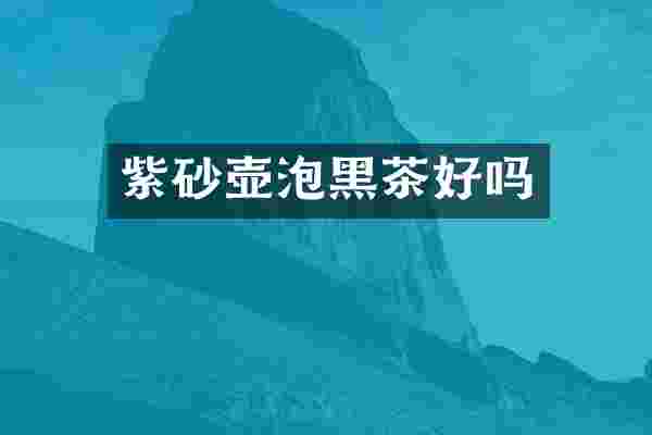 紫砂壶泡黑茶好吗