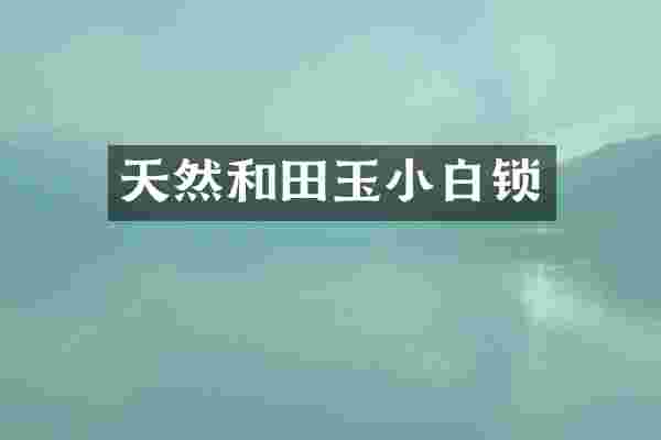 天然和田玉小白锁