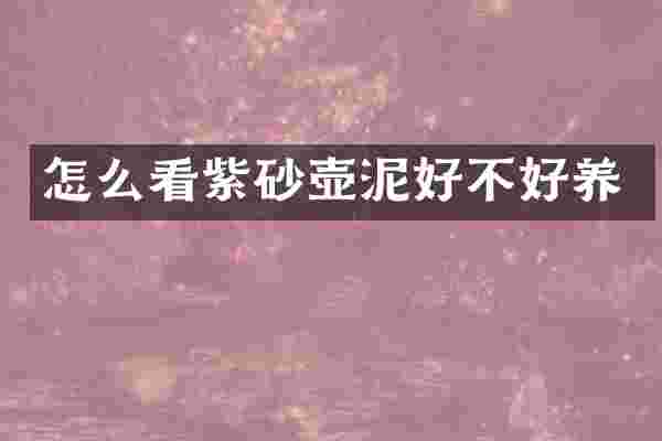 怎么看紫砂壶泥好不好养