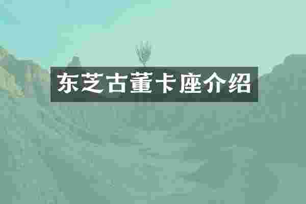 东芝古董卡座介绍