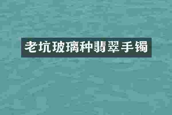 老坑玻璃种翡翠手镯