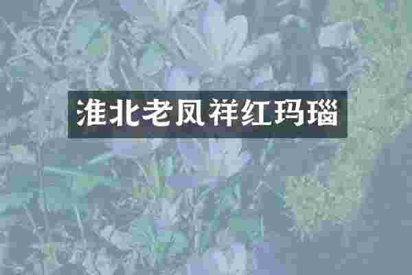 淮北老凤祥红玛瑙