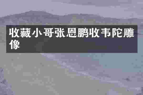 收藏小哥张恩鹏收韦陀雕像