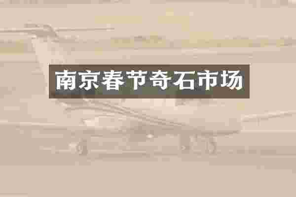 南京春节奇石市场