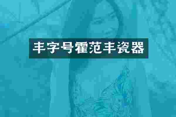 丰字号霍范丰瓷器