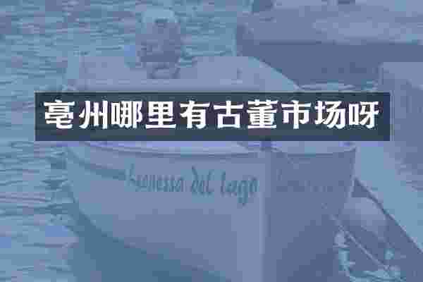 亳州哪里有古董市场呀