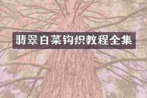 翡翠白菜钩织教程全集