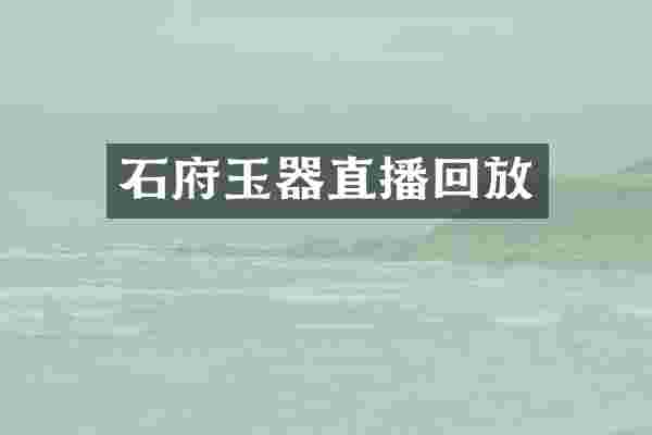石府玉器直播回放