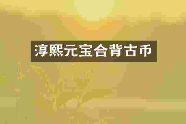 淳熙元宝合背古币