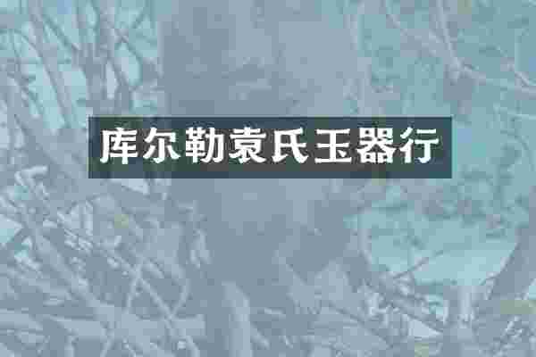 库尔勒袁氏玉器行