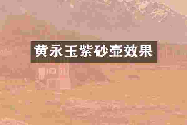 黄永玉紫砂壶效果