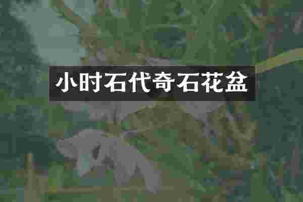 小时石代奇石花盆