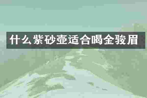 什么紫砂壶适合喝金骏眉
