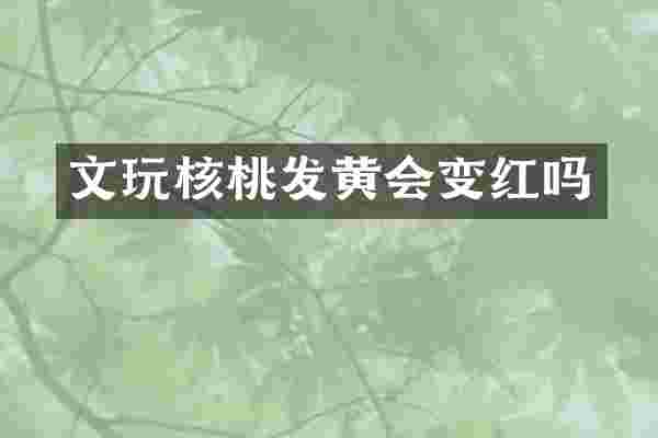 文玩核桃发黄会变红吗